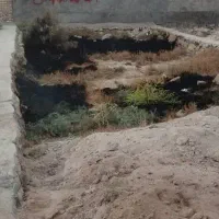 زمین ۱۰۸ متری مندلی فرعی آخرکروشات3|فروش زمین و ملک کلنگی|اهواز, سیاحی(سه راه خرمشهر)|دیوار