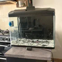 آکواریوم دلسا k580