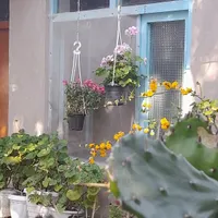 اجاره سوییت نقلی باامکانات رفاهی