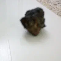 شهاب سنگ تازه پیدا شده