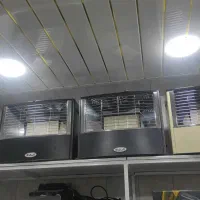 بخاری گازی آبسال اصل