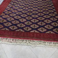 یک فرش ۱۲ متری ترکمن