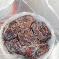 خرمای عویدی وکنتار
