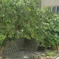 220-متری-ویلایی-لادن-قبل-پیروزی