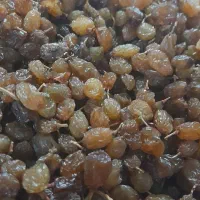 کشمش پلویی قوچان