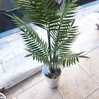 درختچه کنار سالنی (ایرانی ،وارداتی)|گل مصنوعی|کرج, کلاک نو|دیوار