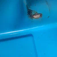 جوش پلاستیک مخزن وسپرماشین درمحل شما در قم وحومه|خدمات پیشه و مهارت|قم, انصارالحسین|دیوار