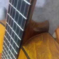 گیتار کاردوبو