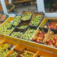 به یک نیروی جوان برای کار در میوه فروشی اخوان نیمه