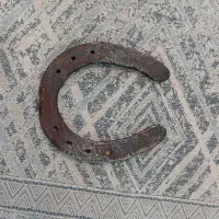 نعل اسب کارکرده|اسب و تجهیزات اسبسواری|خرمآباد, |دیوار