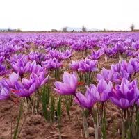 نظافت برای منزل