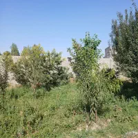فروش باغ در کندرود