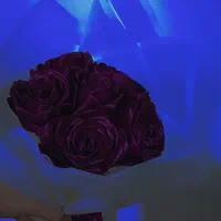 رز ربانی