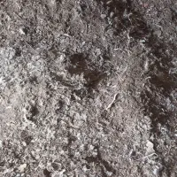 مرغ سفید تخم گذار پرصاف|حیوانات مزرعه|مشهد, رباط طرق|دیوار