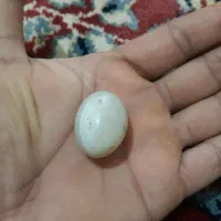 سنگ باباقوری|جواهرات|کلاله, |دیوار