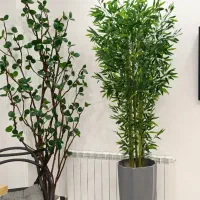 درختچه مصنوعی اقاقیا ، بامبو ، پولیشیاس درخت گل|گل مصنوعی|تهران, قصر فیروزه ۱|دیوار