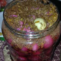 ترشی خاتون فقط بایک بارامتحان