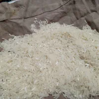 برنج فجر سوزنی نودروزه....|خوردنی و آشامیدنی|خان ببین, |دیوار