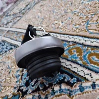 درب باک پیدا شده