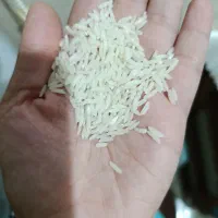 برنج طارم هاشمی بوجاری درجه یک