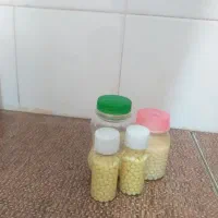 خاویار حلزون