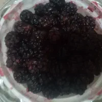 شاتوت ملس