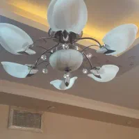 دوعدد لوستر مدل گل