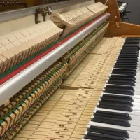 کوک و رگلاژ و کارشناسی پیانو آکوستیک|پیانو، کیبورد، آکاردئون|ارومیه, |دیوار