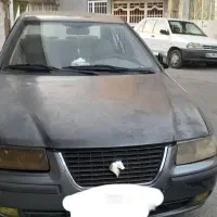 سمند بژه تیره