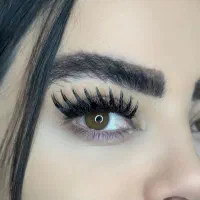 مدل اکستنشن