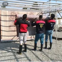 قالیشویی ومبلشویی ملکی56477778|خدمات نظافت|نسیمشهر, |دیوار