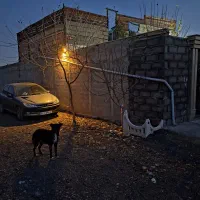 باغچه-باغ-ویلا