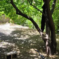 فروش خونه باغ دهبکری