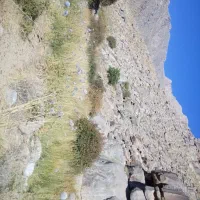 پشه بند مسافرتی پیدا شده