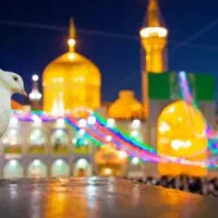 سفر با دنیای دل آرام // سفری متفاوت و خاطره انگیز