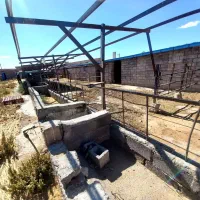 پرورش اسب و گوسفند و گاوداری|اجارهٔ دفتر صنعتی، کشاورزی، تجاری|مراغه, |دیوار