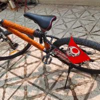 دوچرخه فونیکس حرفه ای کوهستانی|دوچرخه، اسکیت، اسکوتر|پاکدشت, پاکدشت (مامازند)|دیوار