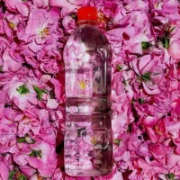 گلاب دو آتیشه درجه 1 کاشان
