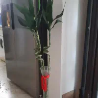 گل بامبو مصنوعی