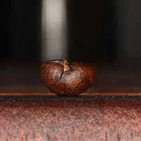 کافه و باریستا|خدمات آموزشی|تهران, ایرانشهر|دیوار