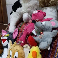 عروسک های پولیشی در حد نو|اسباب‌‌بازی|تهران, جی|دیوار