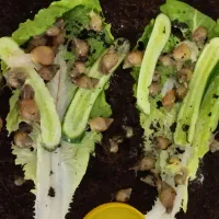 حلزون|خزنده|محمدشهر, شهرک پیام (مهرالبرز)|دیوار