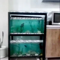 اکواریوم 2طبقه