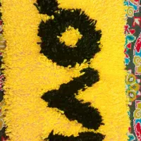 فرشینه (پادری )|پادری|فسا, |دیوار