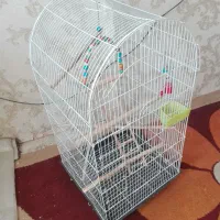 قفس زینتی بزرگ باتمام تجهیزات|لوازم جانبی حیوانات|فولادشهر, A2|دیوار