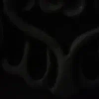 بوقلمون محلی ارگانیک