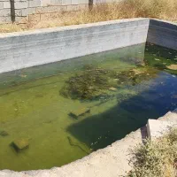 ویلا باغ اسکلیت|فروش خانه و ویلا|شیراز, بید زرد|دیوار