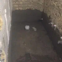 سرامیک کاری کاشی کاری سرامیک اسلپ  کاشیکاری گچکاری|خدمات پیشه و مهارت|تهران, میدان ولیعصر|دیوار