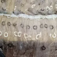 تعدادی پرده|پرده، رانر، رومیزی|اقبالیه, |دیوار