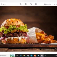 واگذاری ساندویچی فلافلی